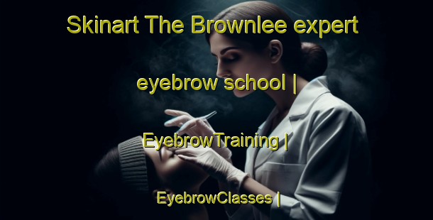 Skinart The Brownlee expert eyebrow school | EyebrowTraining | EyebrowClasses | SkinartTraining-United States
